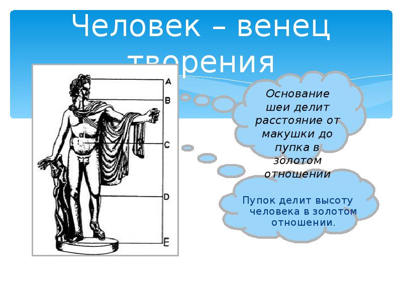 Человек венец природы против таблица. Человек венец творения. Венец творения венец творения. Человек венец творения природы. Человек не венец творения.