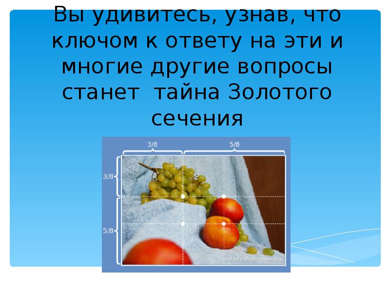 Удивить проверяемая. Золотое сечение вокруг нас. В одно мгновенье видеть вечность огромный мир в зерне песка.