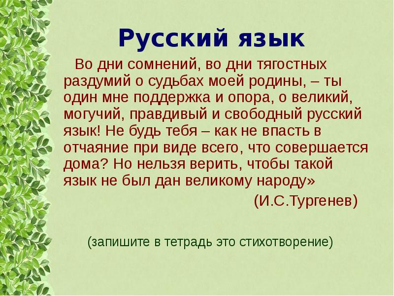 Русский язык один из развитых языков мира 6 класс презентация