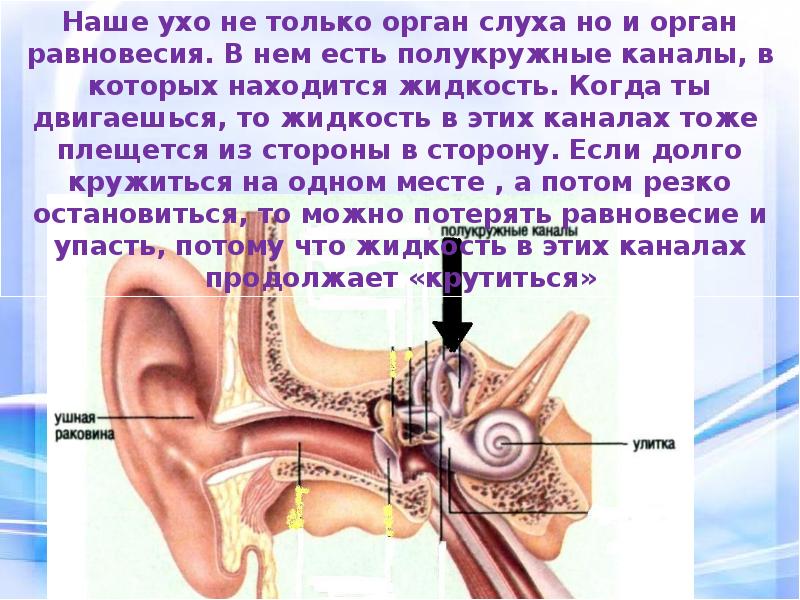 Презентация по органу слуха