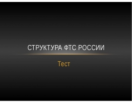 Структура ФТС России