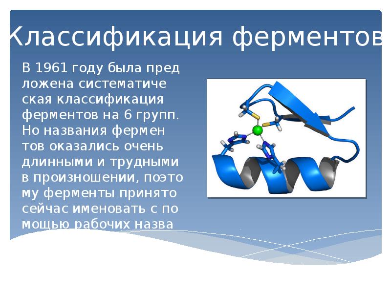 Презентация по ферментам 10 класс