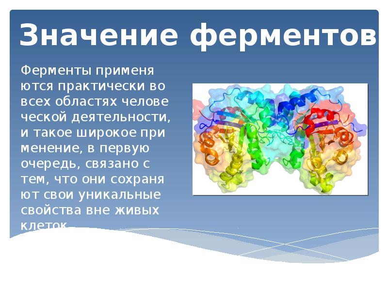 Применение ферментов презентация