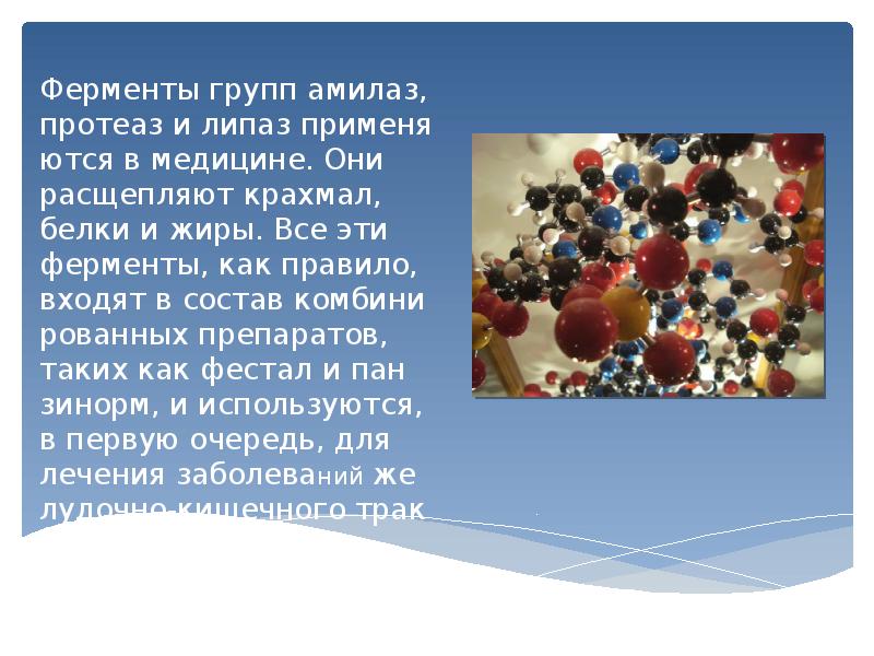 Создатель энзимов магазин. Группы ферментов амилаза липаза и протеаза. Ферменты 10 класс. Ферменты химия 10 класс. Ферменты 10 класс презентация.