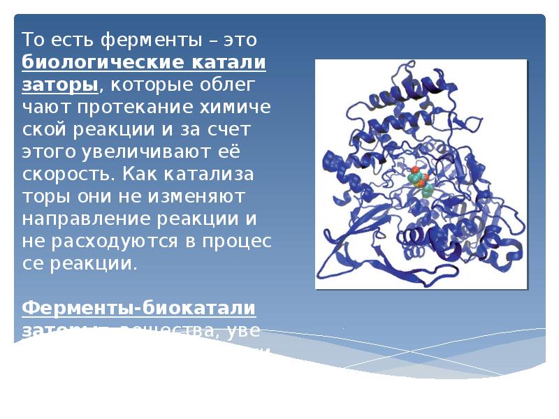 Ферменты 10 класс. Ферменты биология 10 класс. Ферменты презентация по химии. Ферменты химия 10 класс.