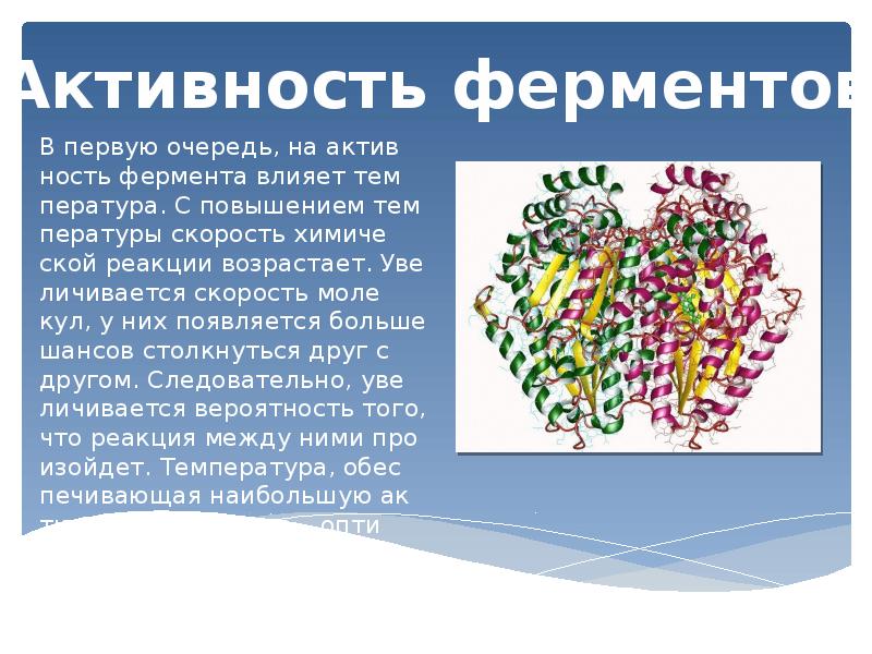 Презентация на тему ферменты 10 класс