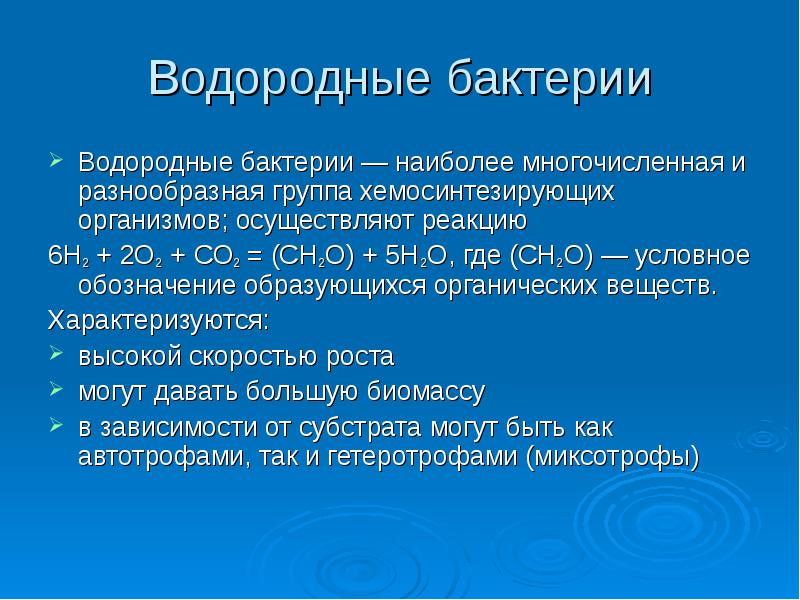 Презентация хемосинтез 10 класс профильный уровень