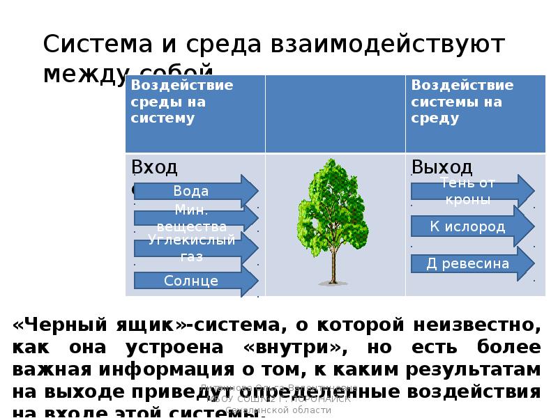 Система влияния. Пример взаимодействия системы и среды. Воздействие среды на систему. Взаимосвязь системы и среды пример. Воздействие среды на систему примеры.