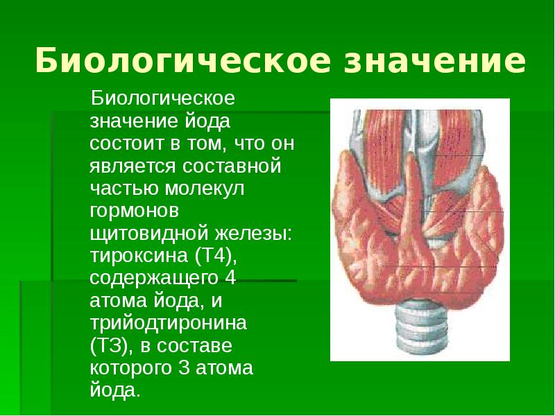 Презентация биологическая роль йода