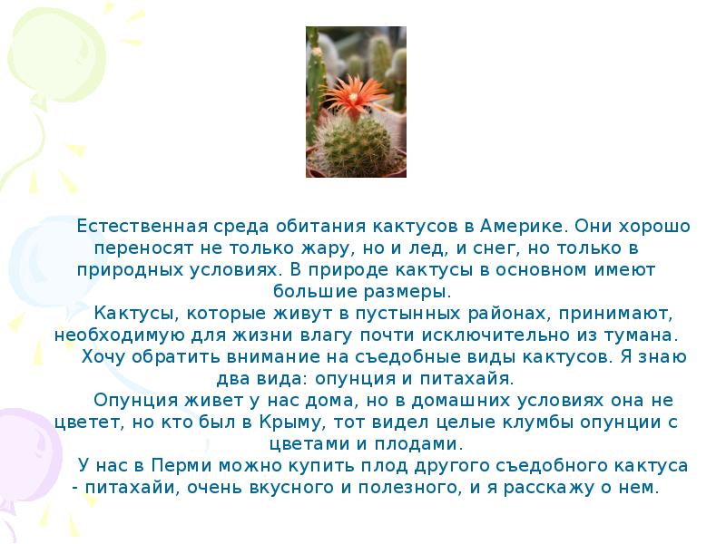 Рассказ про кактус 2 класс. Кактус доклад 2 класс. Рассказ про Кактус для 1 класса. Про цветок Кактус описание. Кактусы комнатные информация.