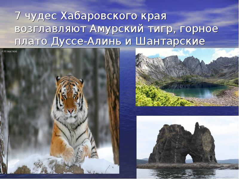 Презентация природа хабаровского края