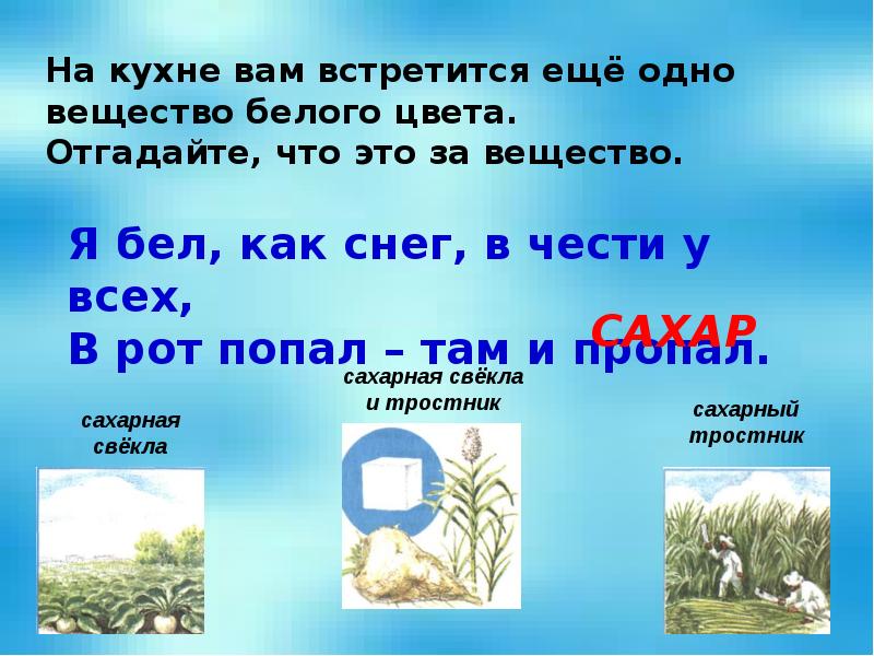 Разнообразие веществ проект