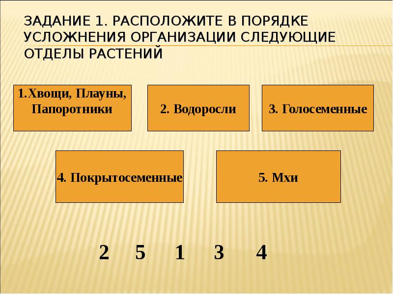 Порядок соответствует порядку. Отделы растений в порядке усложнения их организации.. Усложнение организации растений в процессе эволюции порядок. Последовательность усложнения организации растений. Расположите отделы растений в порядке усложнения.