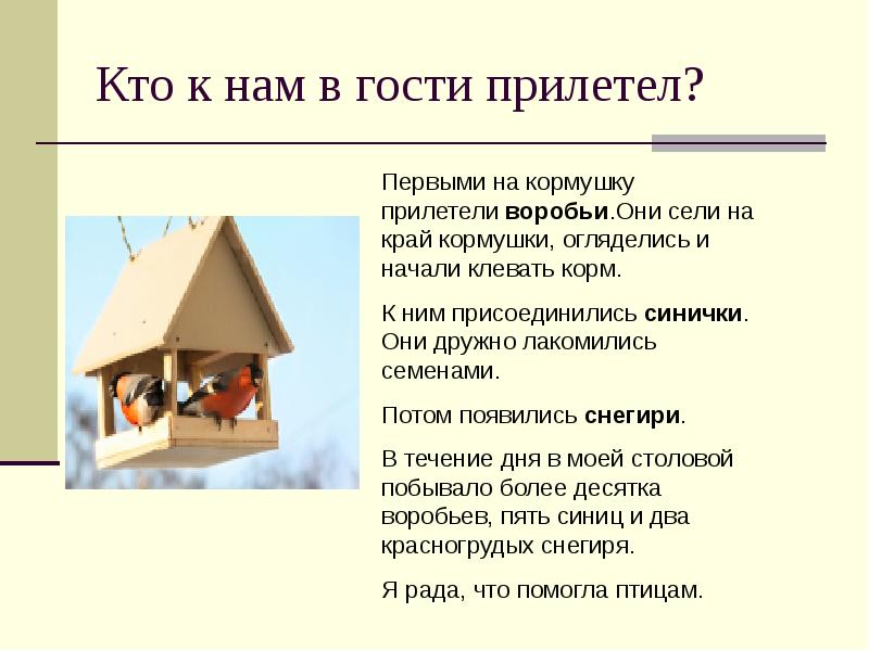 Егор повесил на дерево кормушку для птиц на диаграмме показано сколько воробьев и синиц прилетало