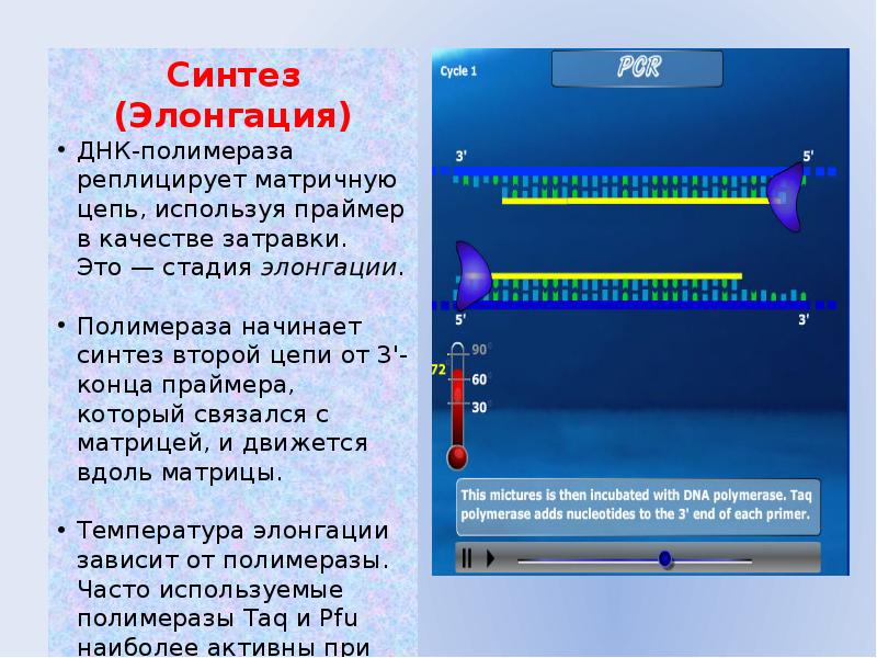 Презентация на тему цепная реакция