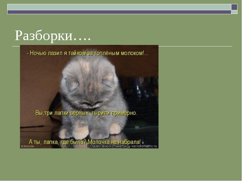 На обиженных воду возят. На сердитых воду возят смысл пословицы. На статус со смыслом на обиженных воду возят. Статус на обиженных воду возят смысл поговорки. Разбери мне пословицу на обиженных воду возят.