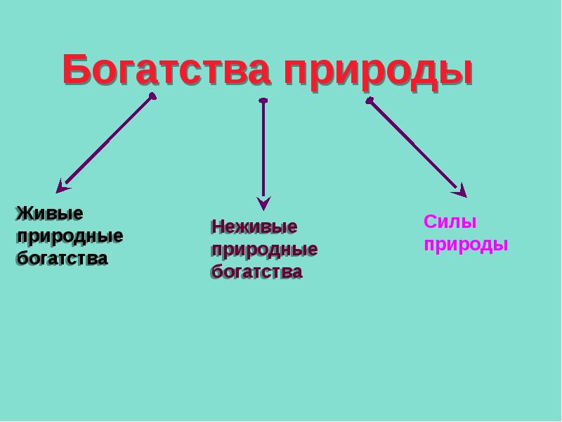 Богатства природы 1 класс презентация