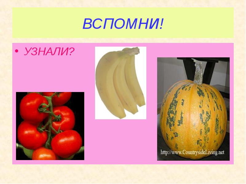 ВСПОМНИ! УЗНАЛИ?
