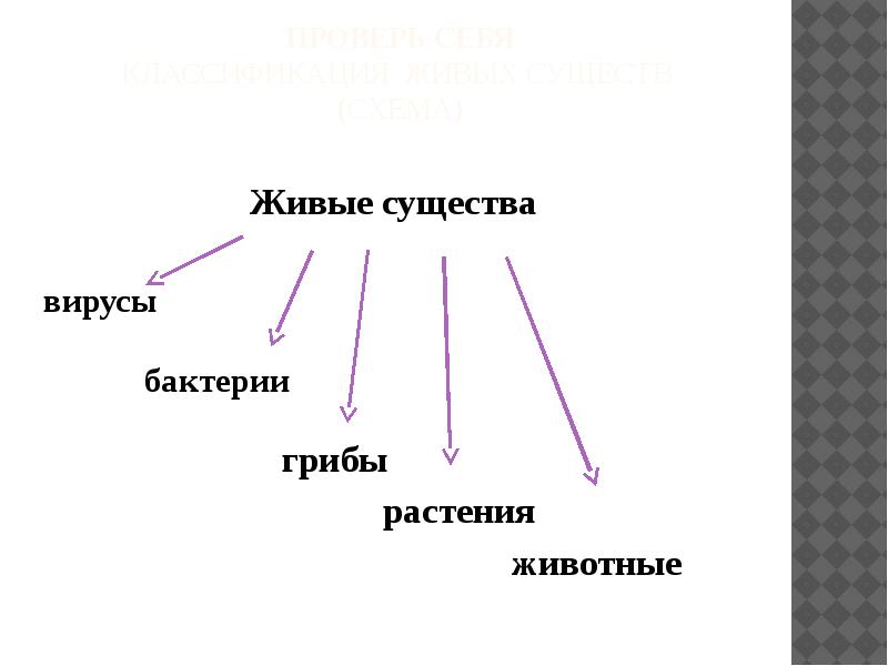 Заполни схему животное живое существо