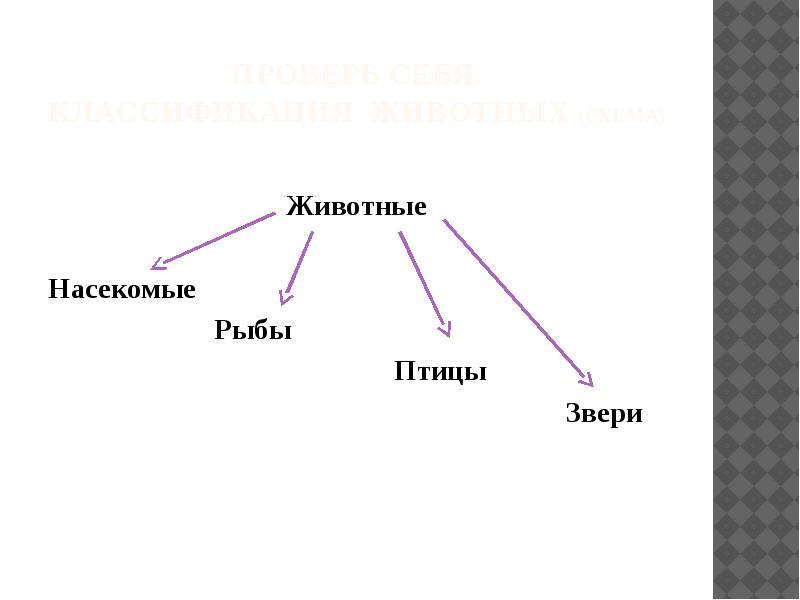 Заполни схему животное живое существо 1 класс