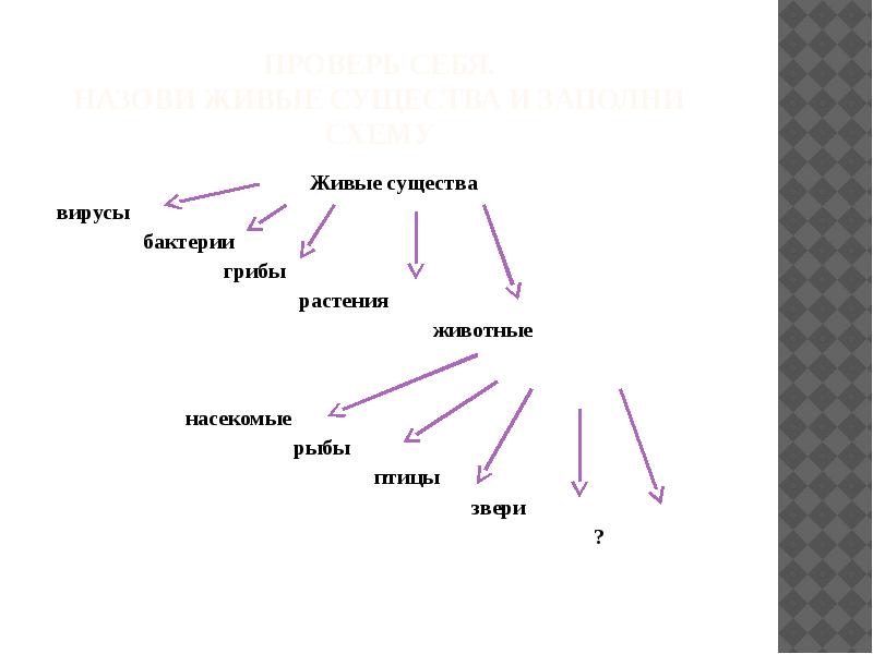 Дополни схему животное живое существо передвигается размножается