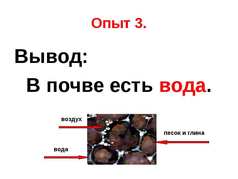 Ход опыта по обнаружению воды в почве рисунок 3 класс