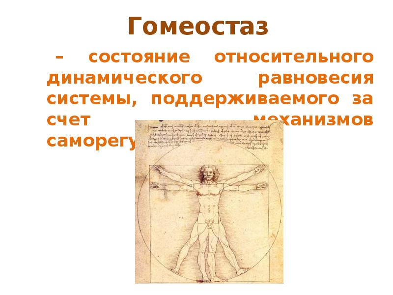 Гомеостаз. Презентация на тему гомеостаз. Гомеостаз рисунок. Гомеостаз и здоровье. Гомеостаз схема рисунок.