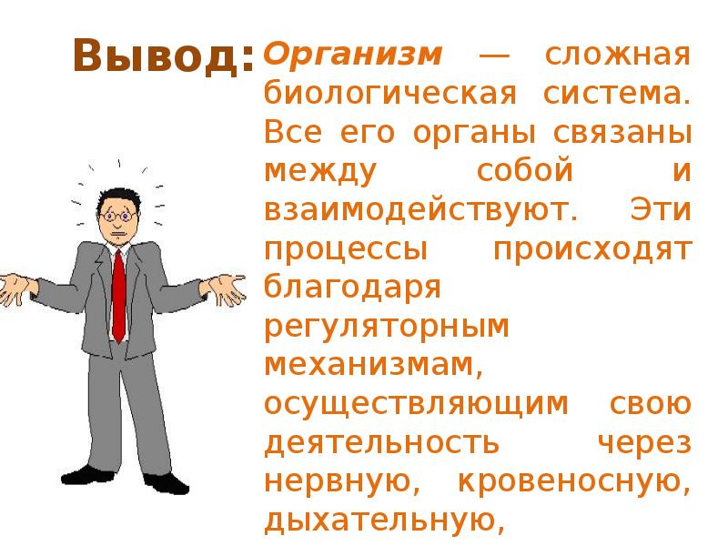 Сложный организм. Системы органов вывод. Организм это сложная биологическая система. Взаимосвязь органов и систем органов как основа гомеостаза. Корреляция органов.