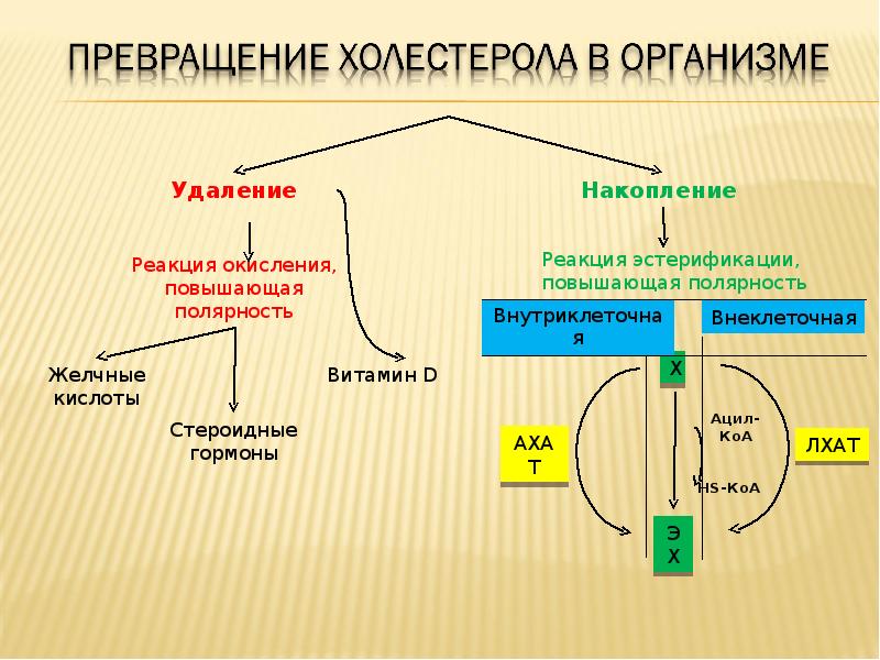 Схема лхат реакции