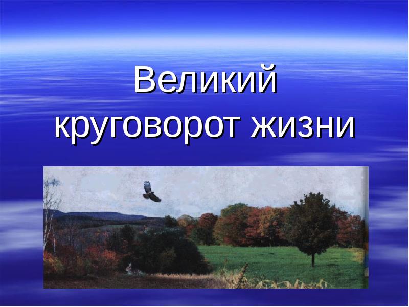 Великий круговорот жизни презентация 3 класс окружающий мир плешаков презентация