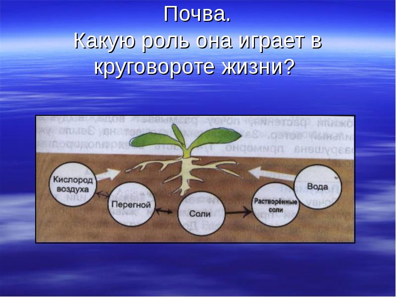 Круговорот жизни окружающий мир 3. Круговорот веществ в почве схема. Рассказ о круговороте жизни. Роль почвы в круговороте жизни. Круговорот веществ в почве.