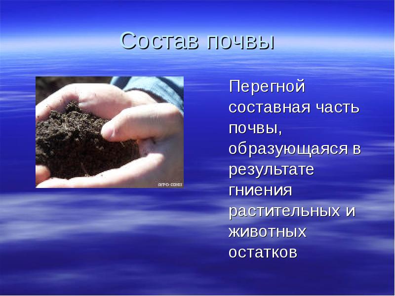 Перегной состав. Навоз коровий. Химический состав навоза таблица. Оттенок перегной. Химический состав навоза коровьего.