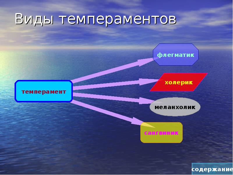 Презентации на тему темперамент