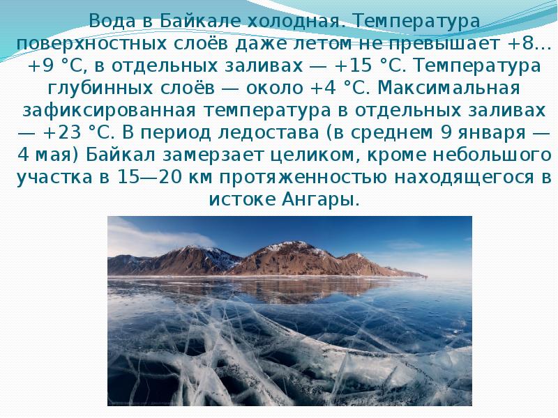 Вода в Байкале холодная. Температура поверхностных слоёв даже летом не превышает