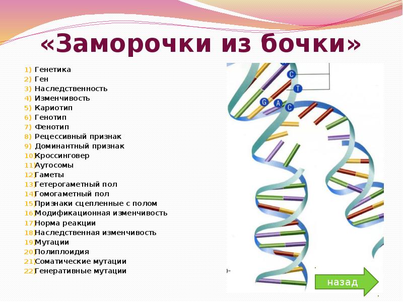 Презентация на тему генетика 11 класс