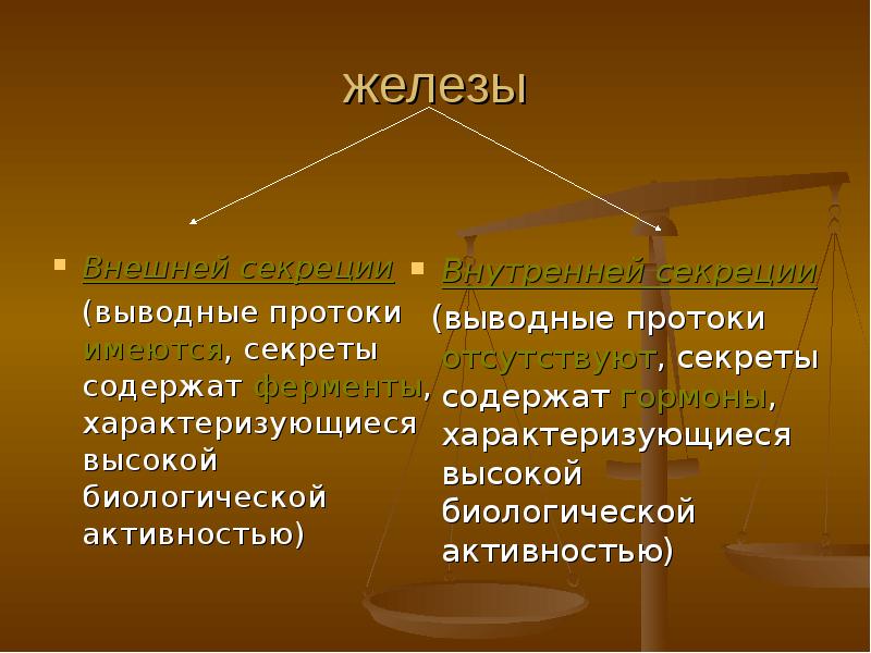 Эндокринная система гуморальная регуляция презентация 8 класс