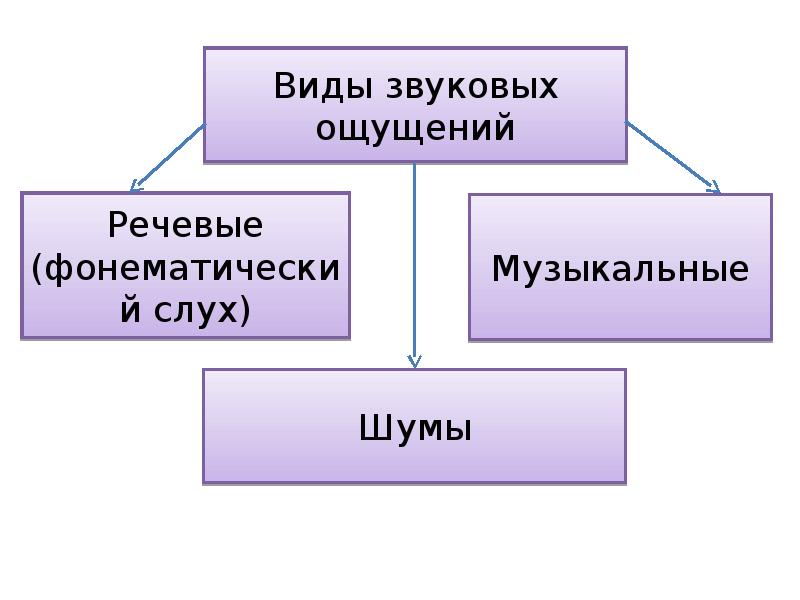 Типы звуков. Три вида слуховых ощущений. Речевые ощущения. Форма речи звуки. Ощущение звука.