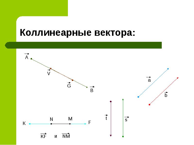 Вектор туралы презентация