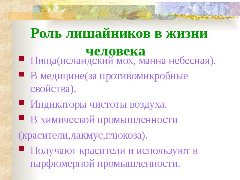 Составьте план ответа на вопрос какова роль лишайников в природе и жизни человека