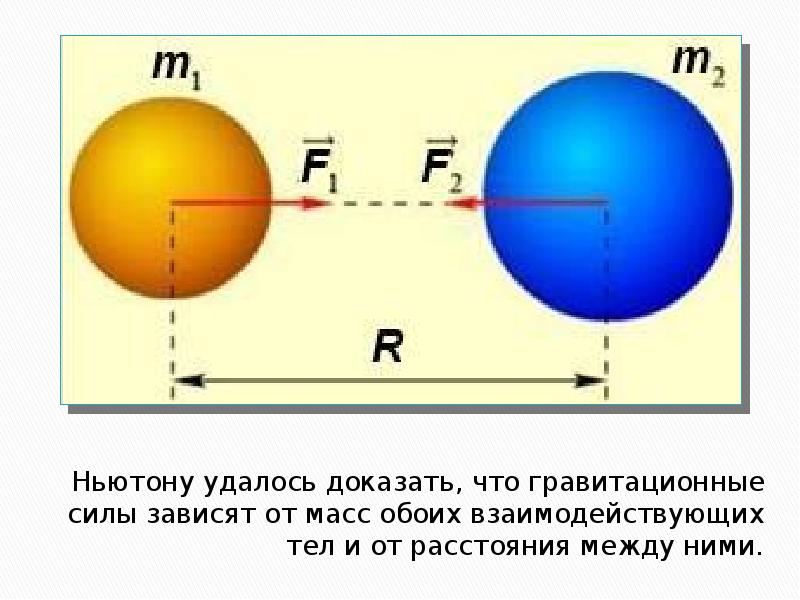 Ньютону удалось доказать, что гравитационные силы зависят от масс обоих взаимодействующих