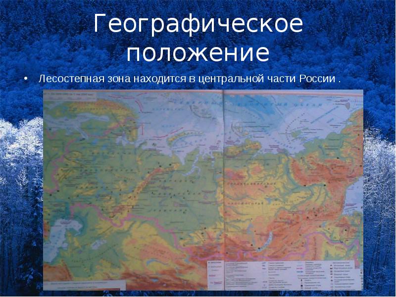 Географическое положение Лесостепная зона находится в центральной части России .