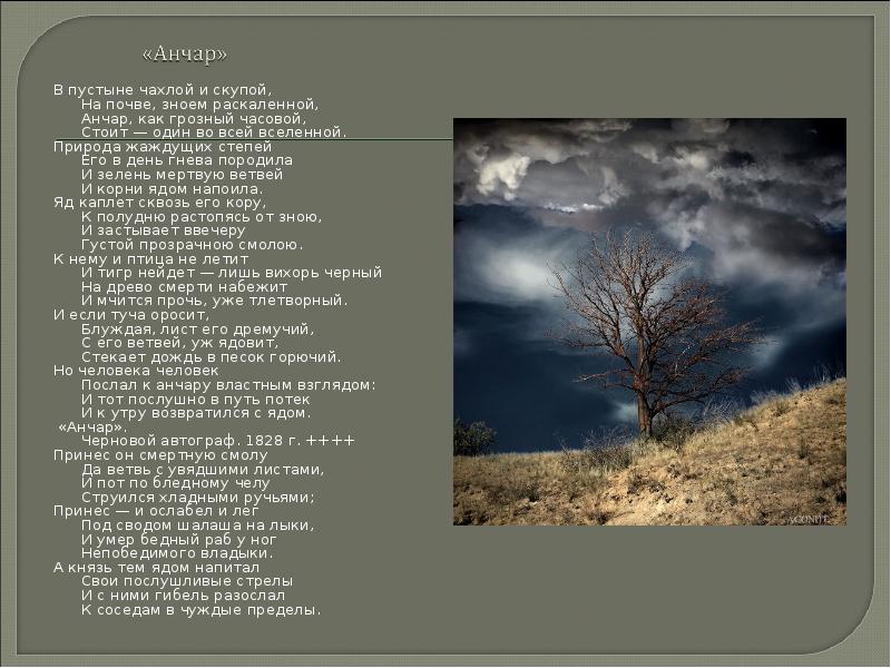 В пустыне чахлой и скупой, На почве, зноем раскаленной, Анчар, как