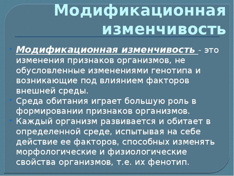 Модификационная изменчивость моего организма под действием диеты проект