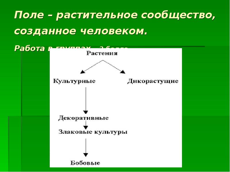 Поле природное сообщество 3 класс презентация