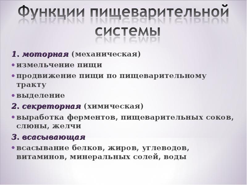 Проект питание и пищеварение