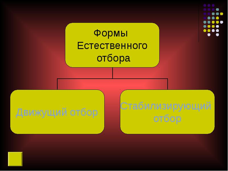 Презентация естественный. Естественный выбор. Естественный отбор Дарвин таблица. Формы искусственного отбора по Дарвину таблица. Результат естественного отбора.