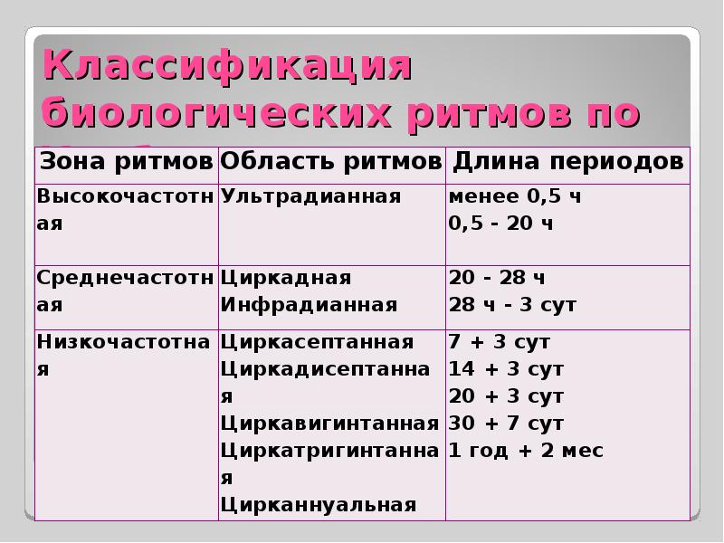 Длительность второго периода. Биоритмы и их классификация. Классификации биоритмов по длительности. Классификация биологических ритмов человека. Классификация биологических ритмов по Халбергу.