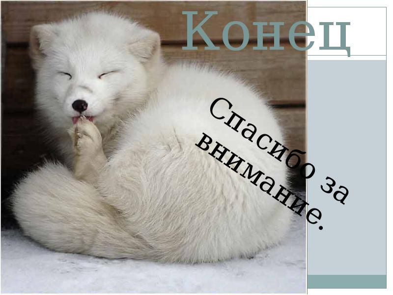 Конец
Спасибо за внимание. Конец
Спасибо за внимание.