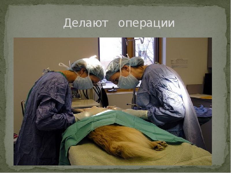 Почему операции такие дорогие. Почему операции такие дорогие