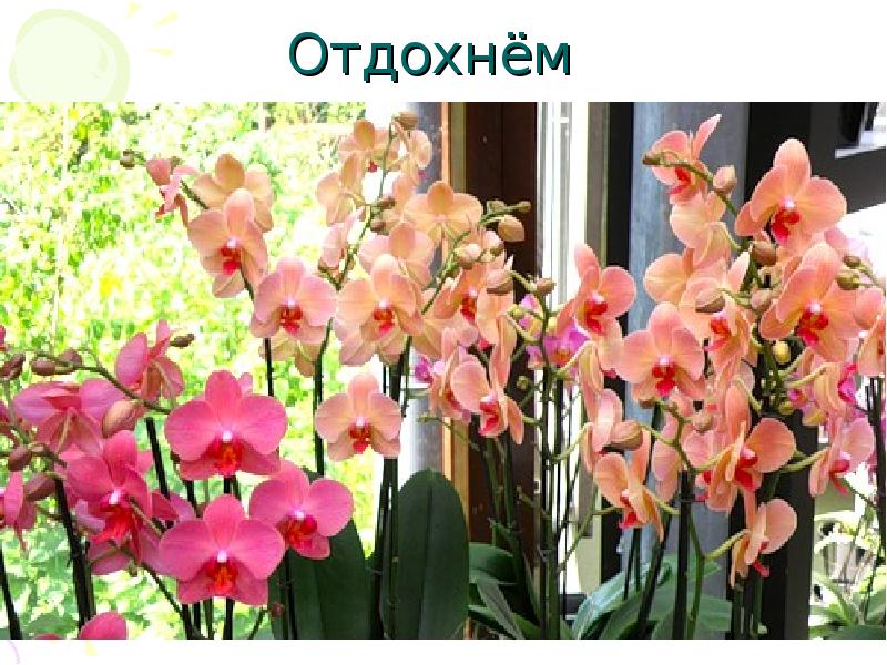 Отдохнём Отдохнём